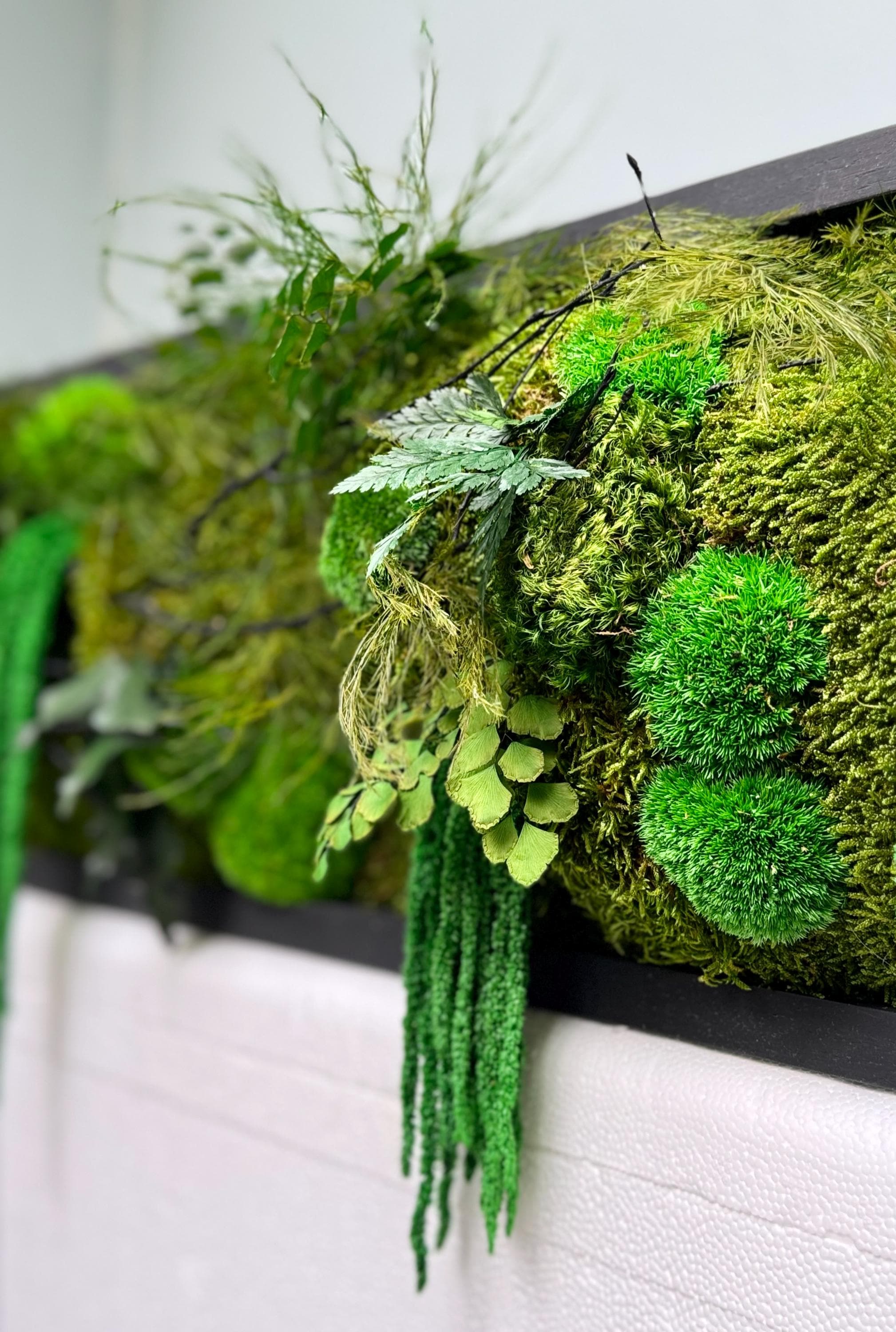 Moss Wall Art. Moss Wall. Moss Art Panels. Green Wall Art. Preserved plants