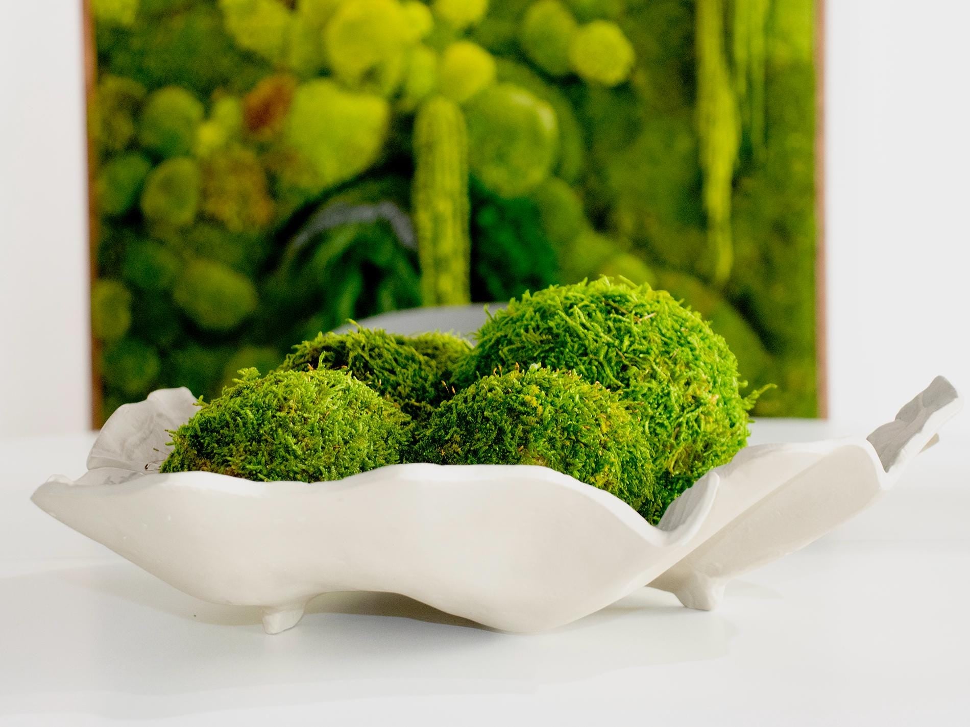 Moss Balls, Vase / bowl fillers, Decorative Sphere, Preserved moss balls, Moss centerpiece, Decorative Orbs. Sets of 2, 3, 4 and 6 balls.