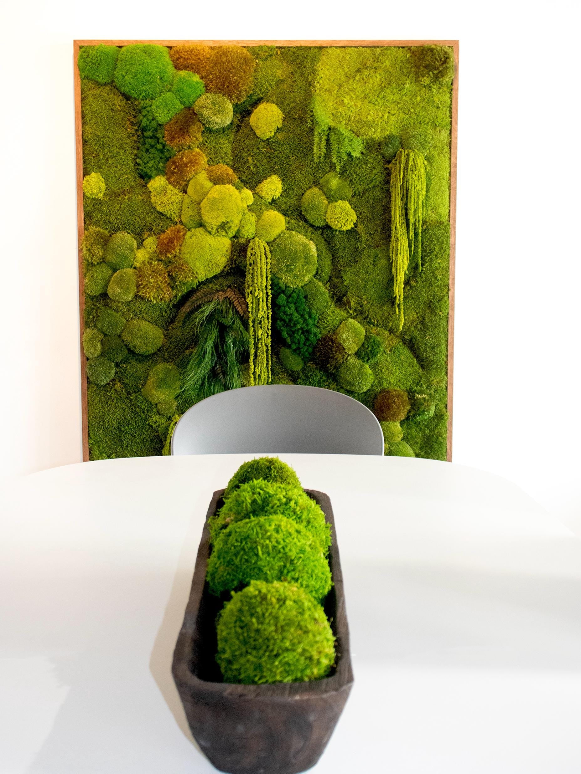 Moss Balls, Vase / bowl fillers, Decorative Sphere, Preserved moss balls, Moss centerpiece, Decorative Orbs. Sets of 2, 3, 4 and 6 balls.