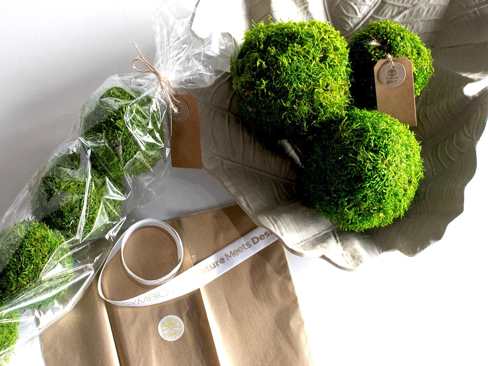 Moss Balls, Vase / bowl fillers, Decorative Sphere, Preserved moss balls, Moss centerpiece, Decorative Orbs. Sets of 2, 3, 4 and 6 balls.