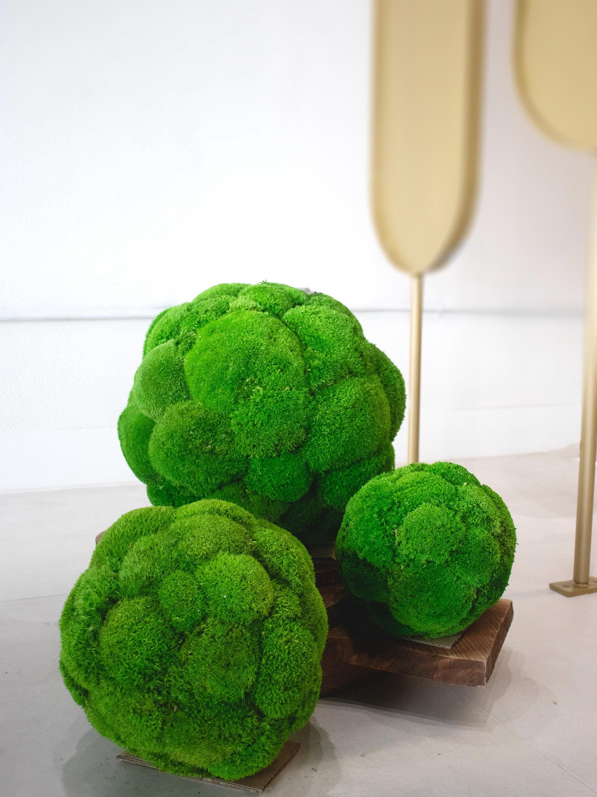 Pillow Moss Balls, Vase / bowl decoration, Decorative Sphere, Preserved moss balls, Moss centerpiece, Decorative Orbs, Moss Decor,