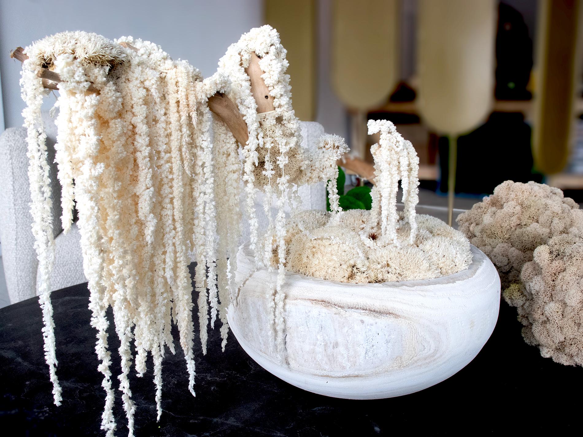 Bonsai tree, Decoration Bonsai white tree, Moss white tree, Moss Bonsai centerpiece, Bonsai wood white vase.