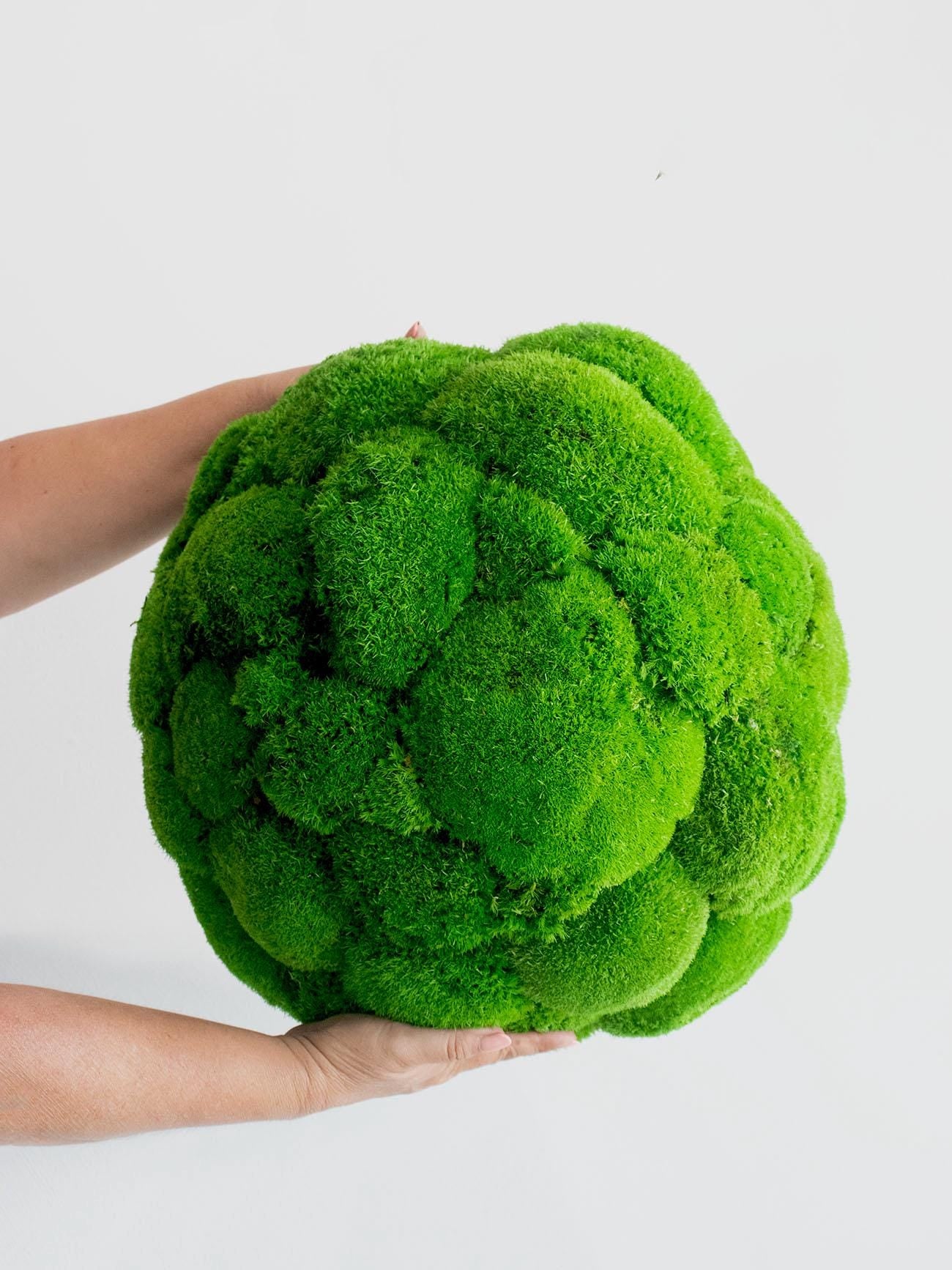 Pillow Moss Balls, Vase / bowl decoration, Decorative Sphere, Preserved moss balls, Moss centerpiece, Decorative Orbs, Moss Decor,
