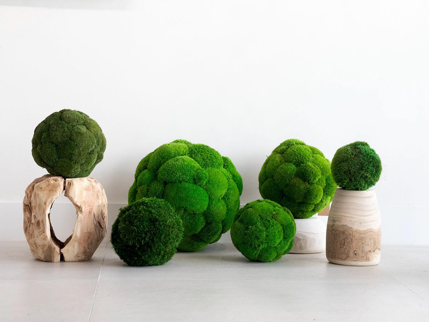 Pillow Moss Balls, Vase / bowl decoration, Decorative Sphere, Preserved moss balls, Moss centerpiece, Decorative Orbs, Moss Decor,