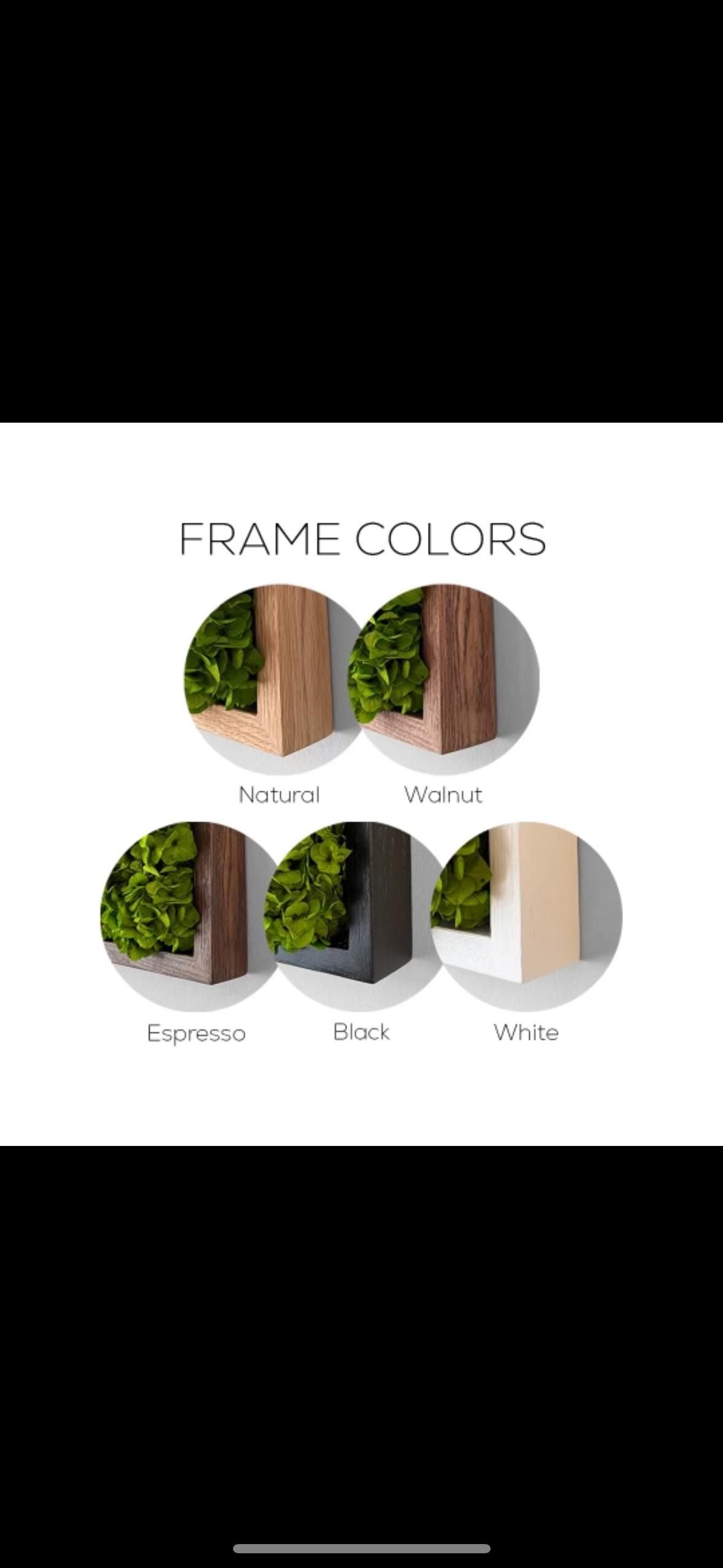Moss wall art. Moss frame. Moss art. Green wall