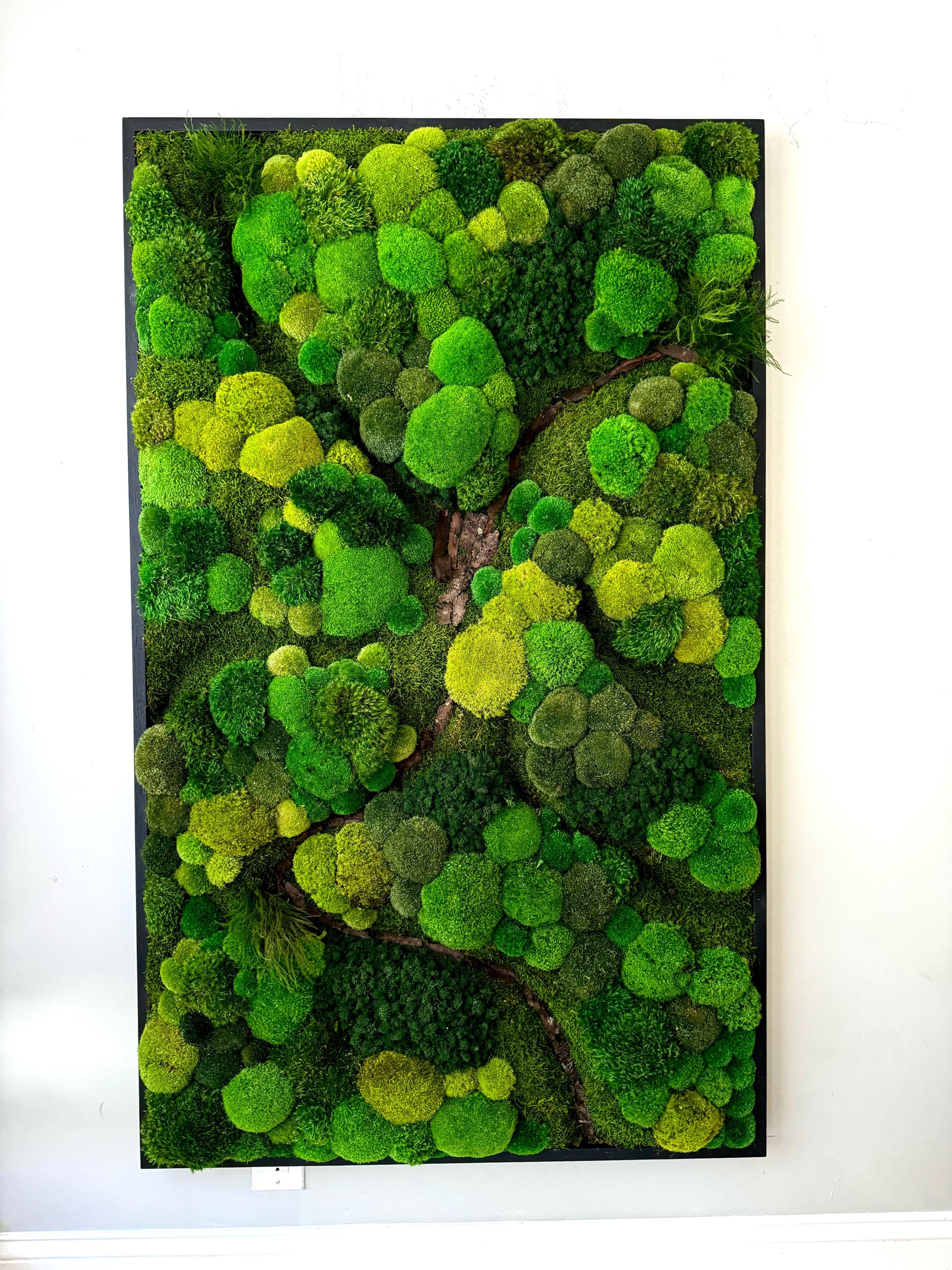 Moss wall art. Preserved Moss wall. Plant wall. Green Wall art with preserved plants