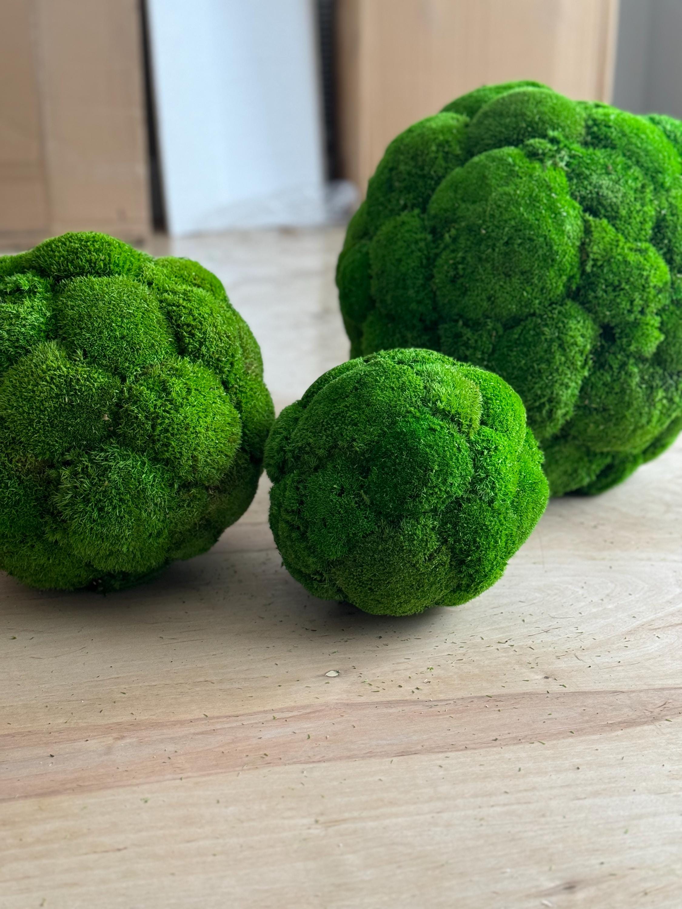 Pillow Moss Balls, Vase / bowl decoration, Decorative Sphere, Preserved moss balls, Moss centerpiece, Decorative Orbs, Moss Decor,