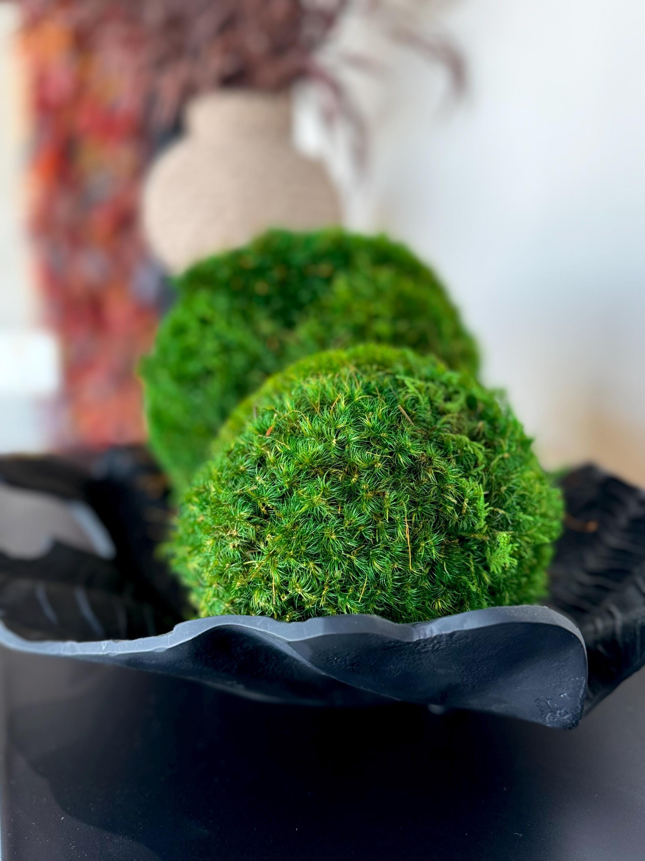 Mood Moss Balls, Decorative Sphere, Preserved moss balls, Moss centerpiece, Decorative Orbs, Dark green moss balls.