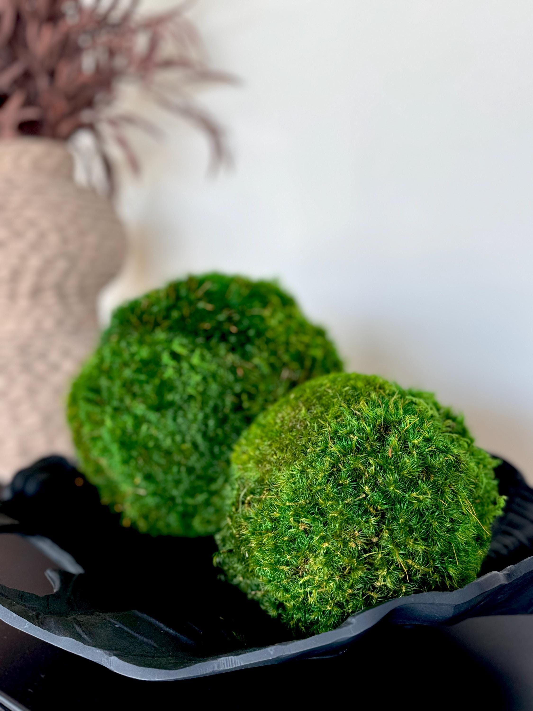 Mood Moss Balls, Decorative Sphere, Preserved moss balls, Moss centerpiece, Decorative Orbs, Dark green moss balls.