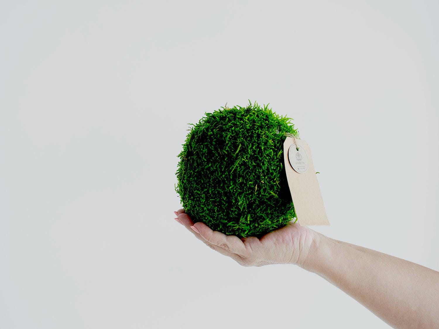Moss Balls, Vase / bowl fillers, Decorative Sphere, Preserved moss balls, Moss centerpiece, Decorative Orbs. Sets of 2, 3, 4 and 6 balls.