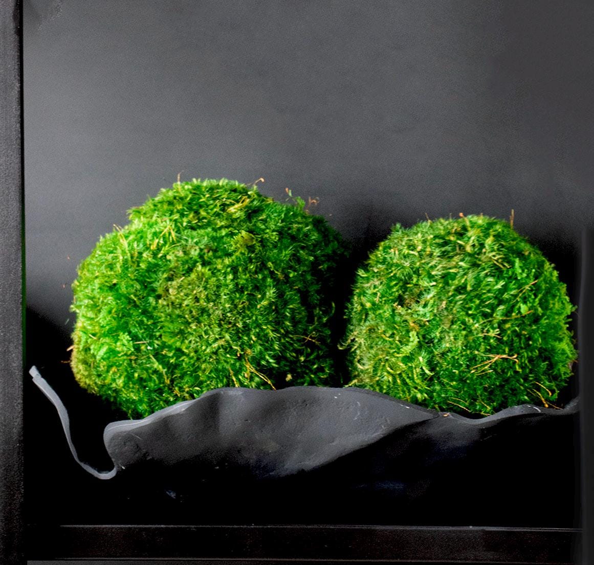 Mood Moss Balls, Decorative Sphere, Preserved moss balls, Moss centerpiece, Decorative Orbs, Dark green moss balls.