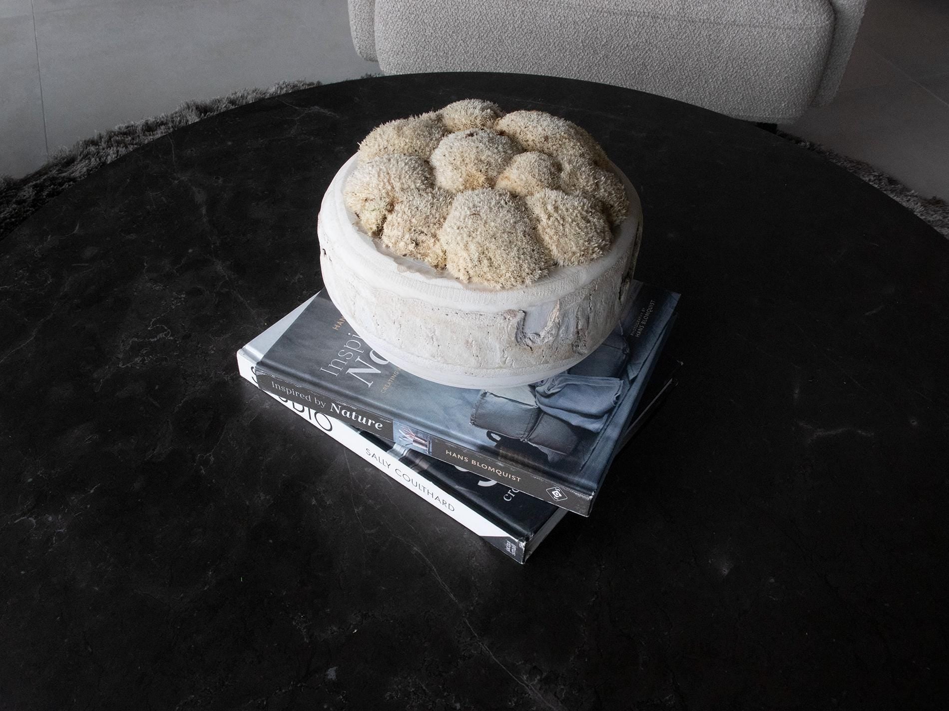 Centerpiece, Moss Bowls, Trays, Home decor, Gift, Decorative center piece, Wood moss decor.