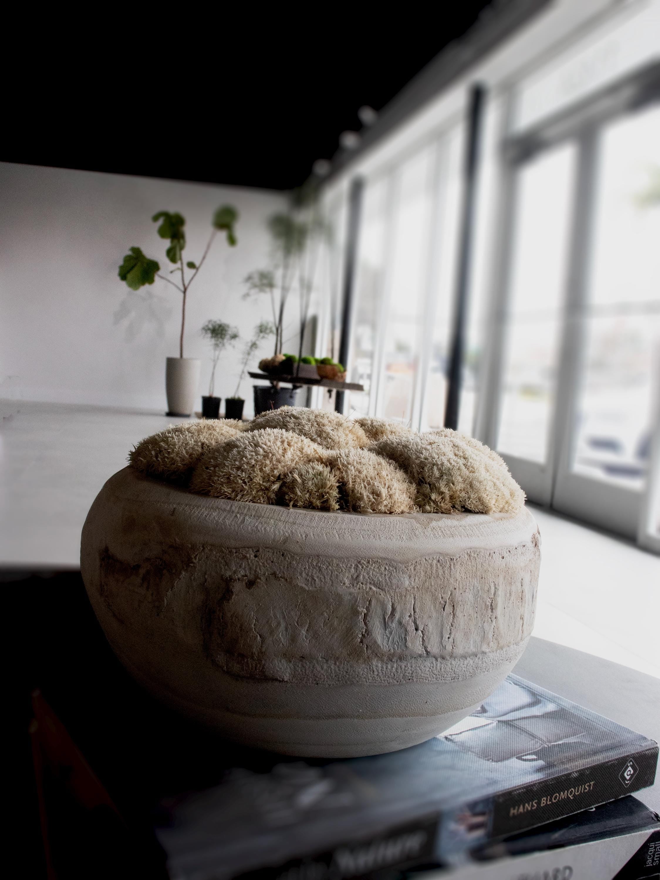 Centerpiece, Moss Bowls, Trays, Home decor, Gift, Decorative center piece, Wood moss decor.