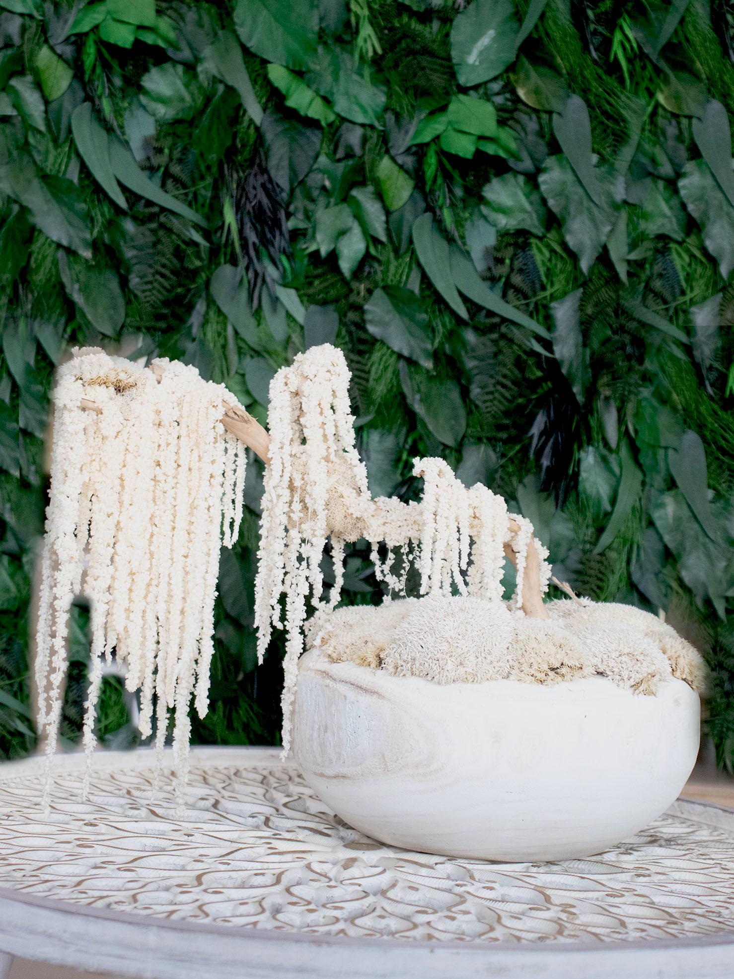 Bonsai tree, Decoration Bonsai white tree, Moss white tree, Moss Bonsa