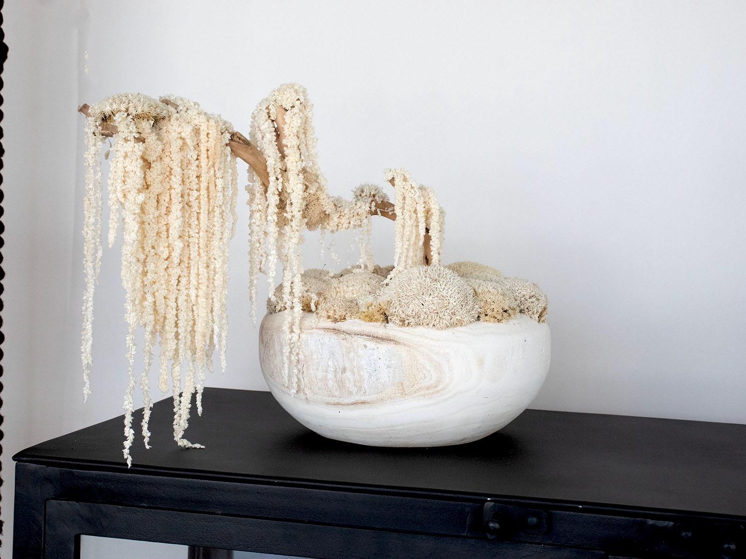 Bonsai tree, Decoration Bonsai white tree, Moss white tree, Moss Bonsai centerpiece, Bonsai wood white vase.
