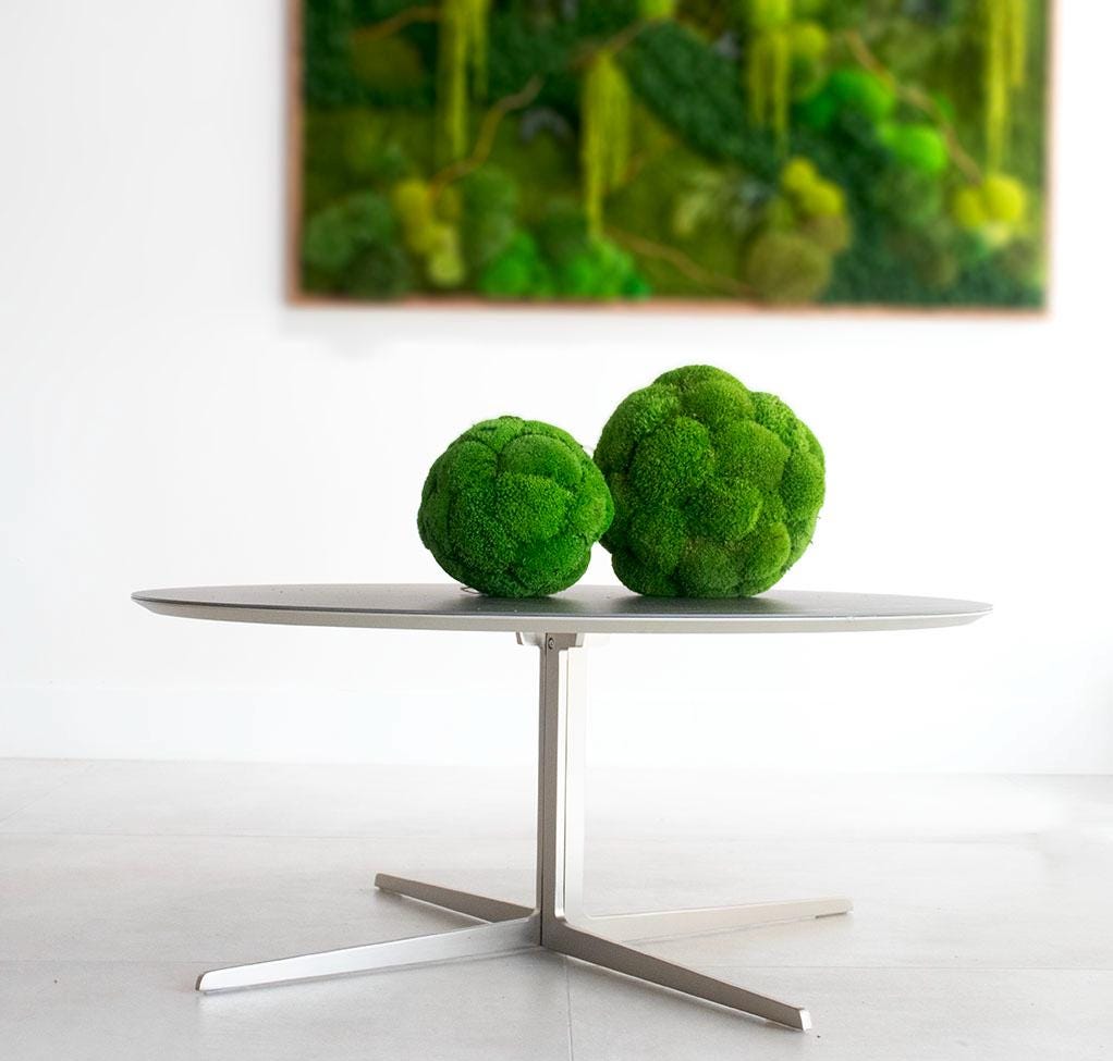 Pillow Moss Balls, Vase / bowl decoration, Decorative Sphere, Preserved moss balls, Moss centerpiece, Decorative Orbs, Moss Decor,