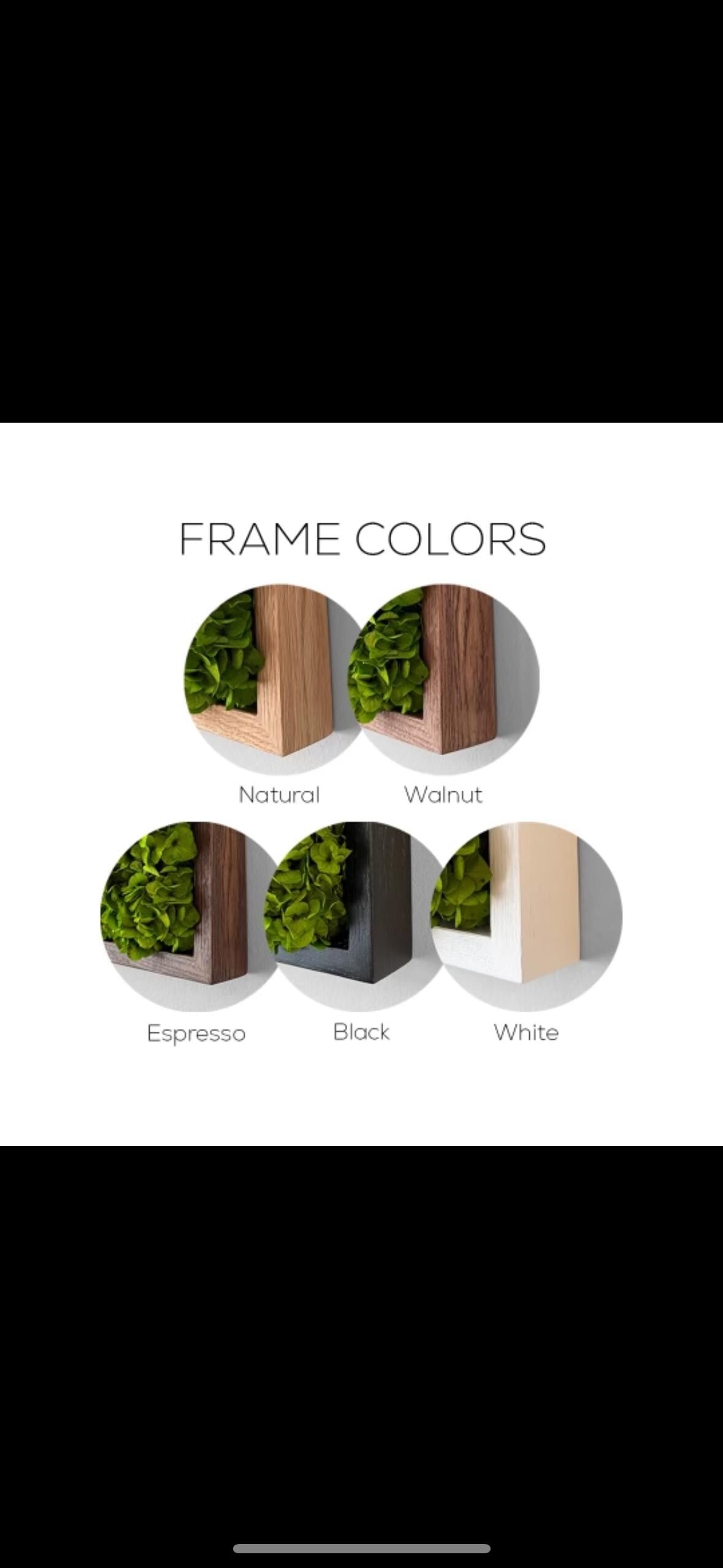 Moss Wall Art. Wall Decor. Green wall. Oak frame Statement Art. Planted mosswall