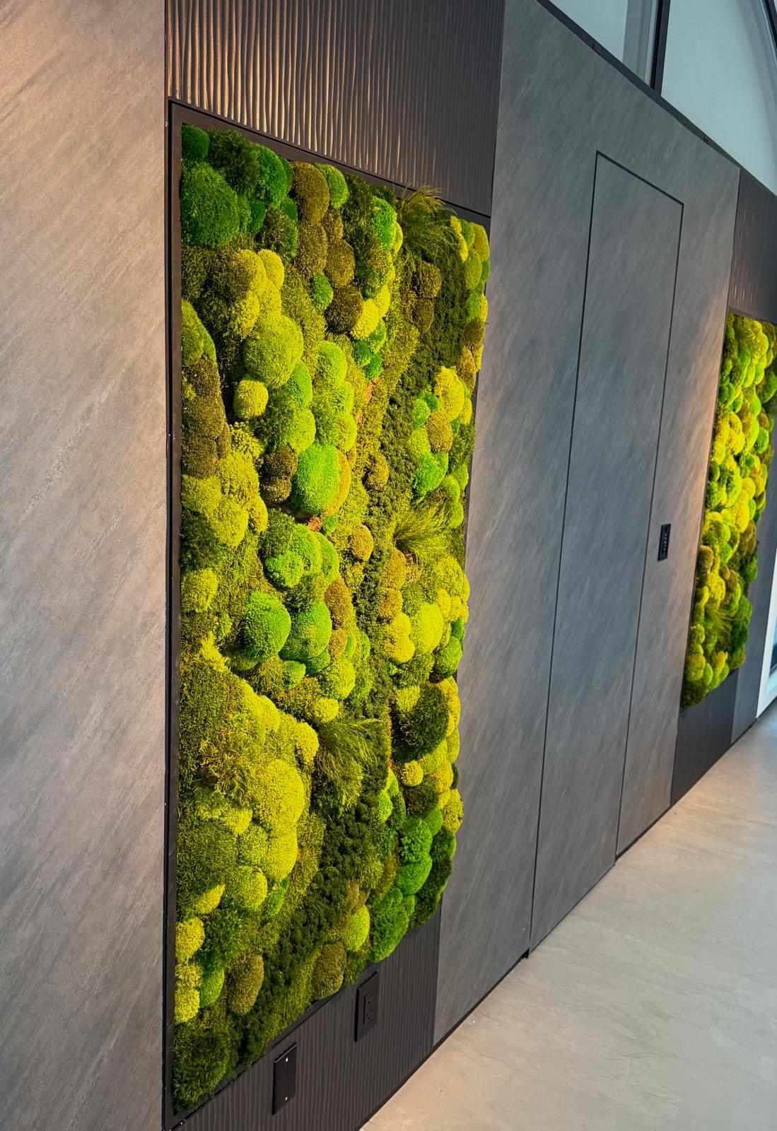 Moss wall art. Preserved Moss wall. Plant wall. Green Wall art with preserved plants