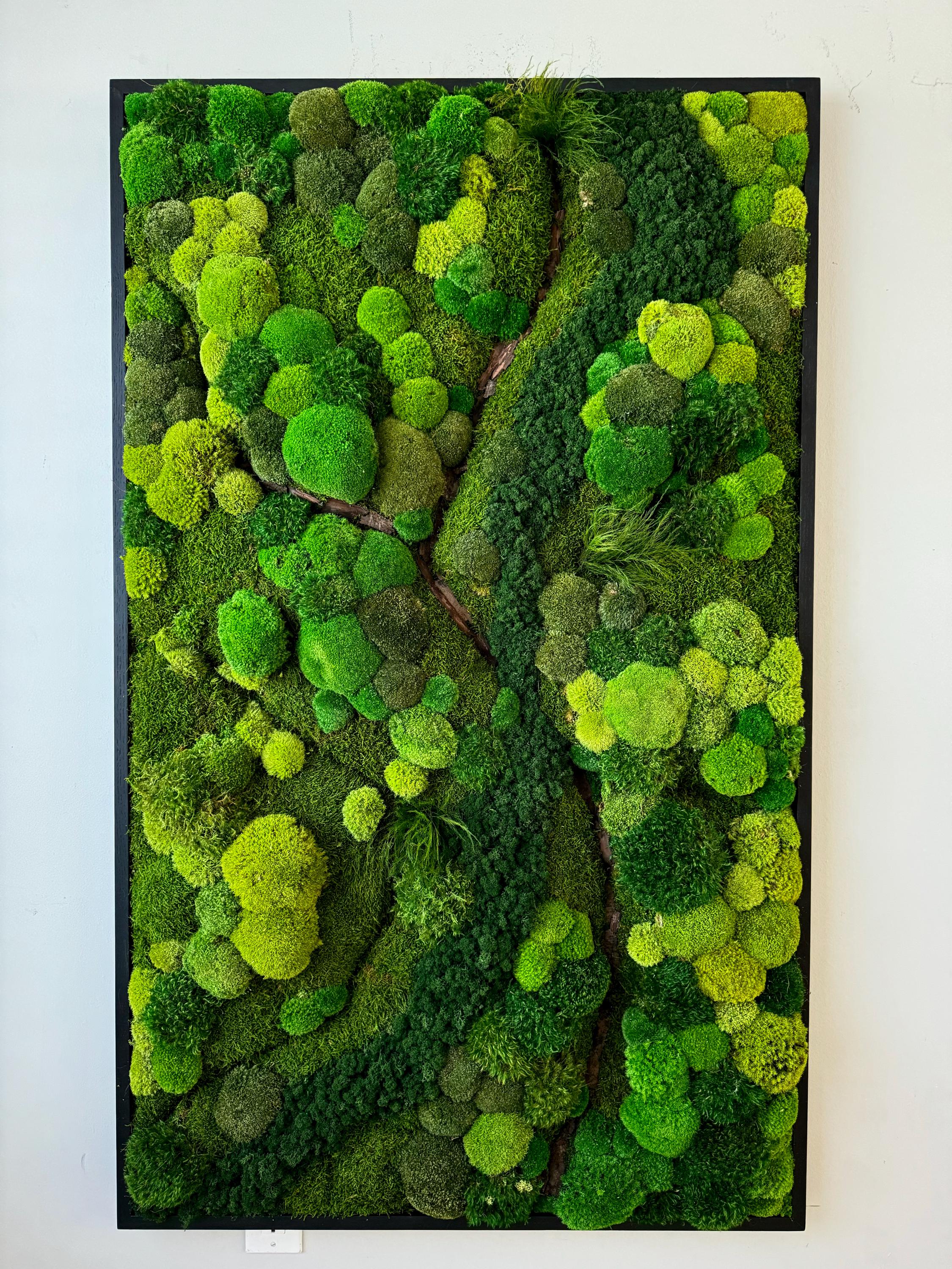 Moss wall art. Preserved Moss wall. Plant wall. Green Wall art with preserved plants