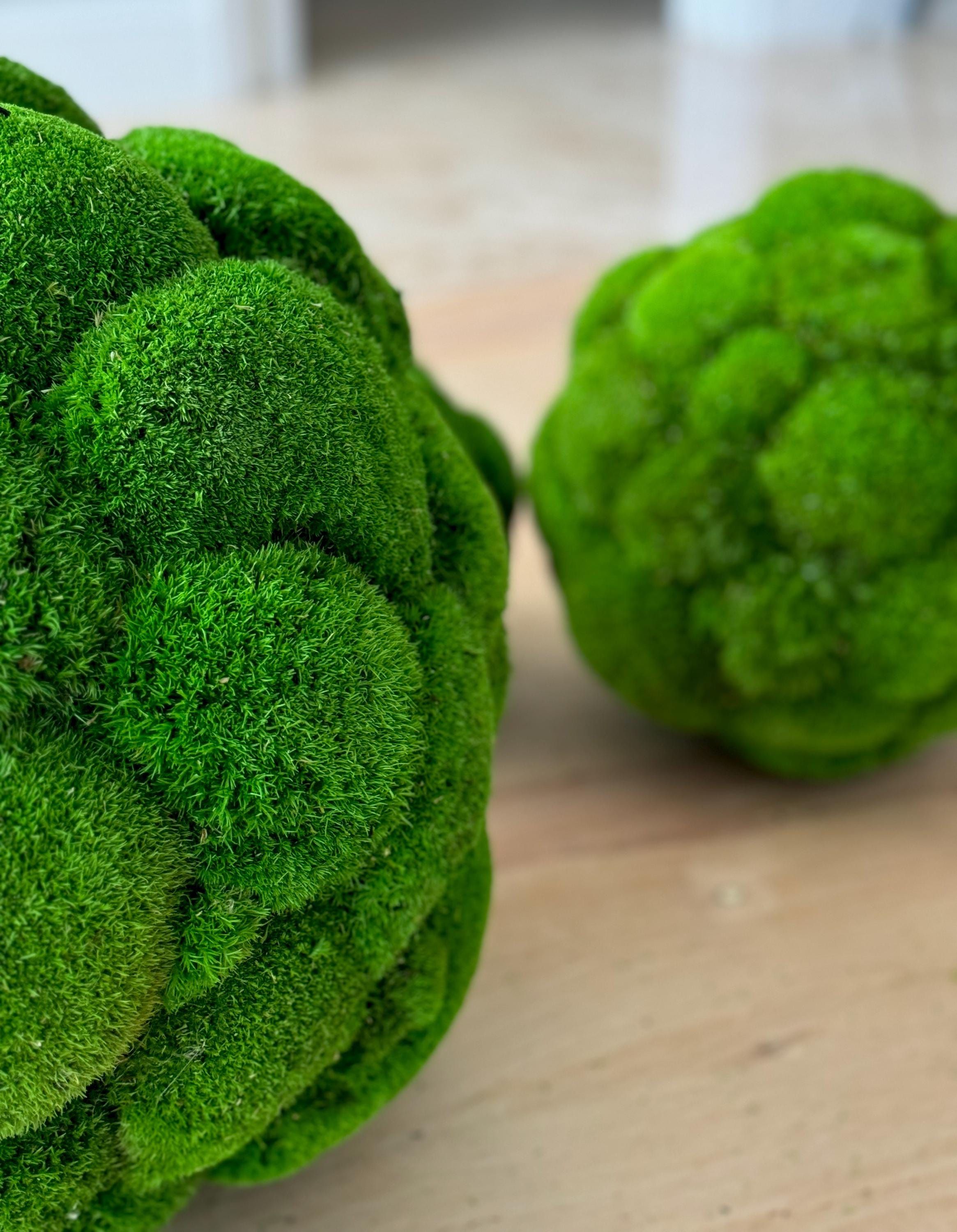 Pillow Moss Balls, Vase / bowl decoration, Decorative Sphere, Preserved moss balls, Moss centerpiece, Decorative Orbs, Moss Decor,