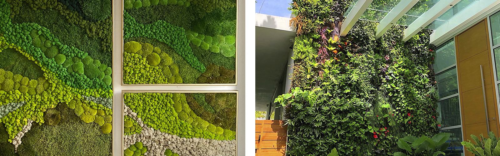 Moss Walls vs. Living Walls: Which is the Best Choice for Your Needs?