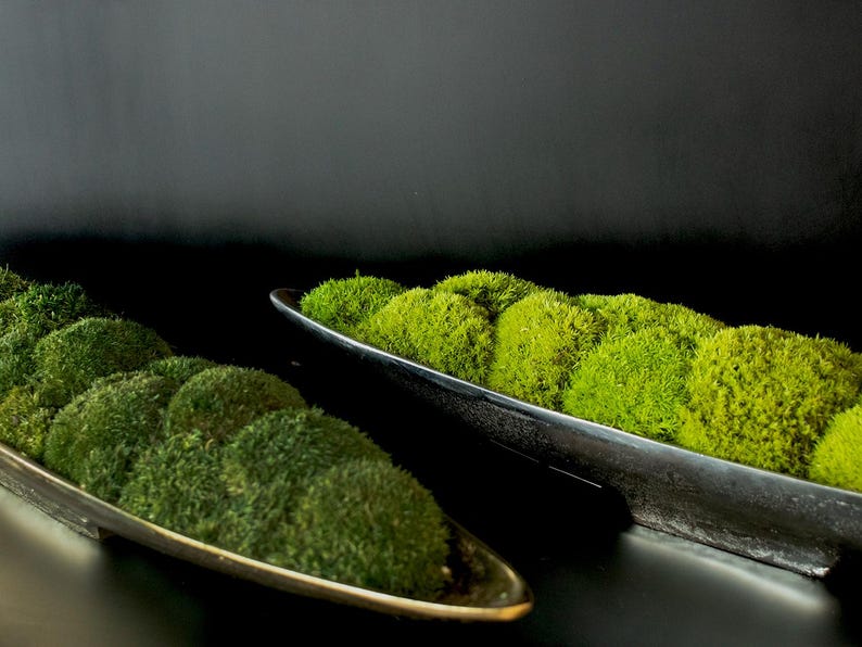 Moss Centerpiece, Moss Bowl, tray, Home decor, long bowl planter with moss, Table top decor, Gold Decorative center piece, Gift