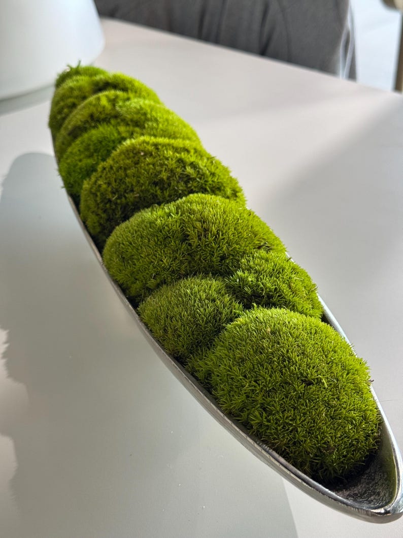 Moss Centerpiece, Moss Bowl, tray, Home decor, long bowl planter with moss, Table top decor, Gold Decorative center piece, Gift