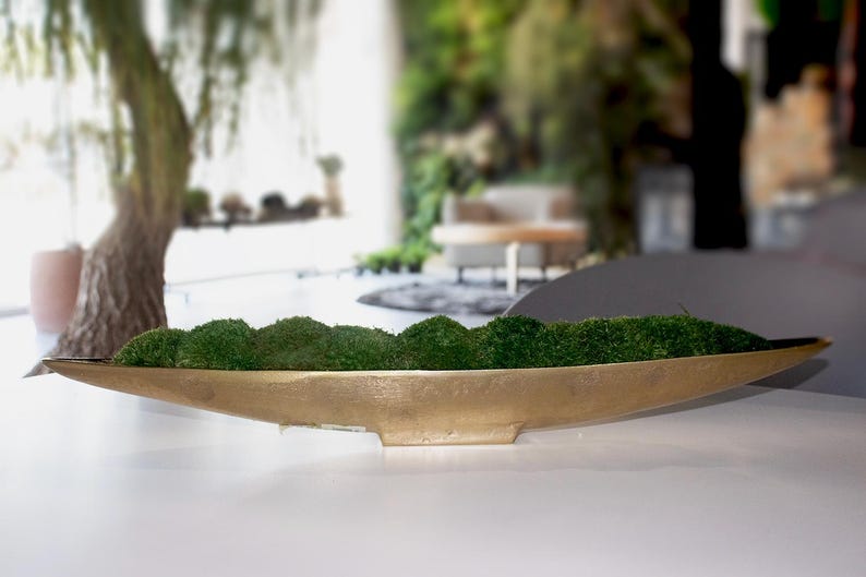 Moss Centerpiece, Moss Bowl, tray, Home decor, long bowl planter with moss, Table top decor, Gold Decorative center piece, Gift