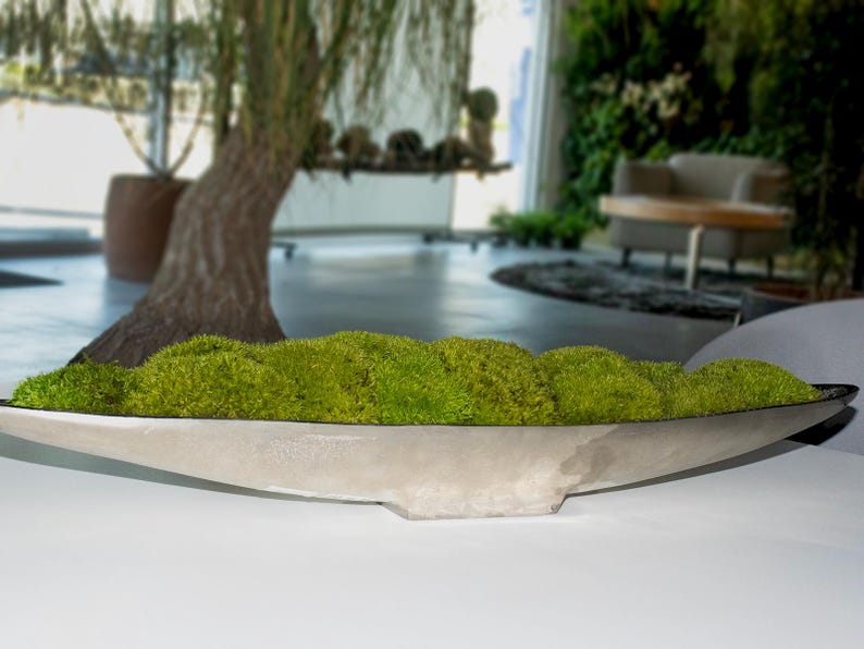 Moss Centerpiece, Moss Bowl, tray, Home decor, long bowl planter with moss, Table top decor, Gold Decorative center piece, Gift