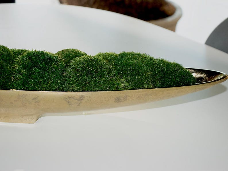 Moss Centerpiece, Moss Bowl, tray, Home decor, long bowl planter with moss, Table top decor, Gold Decorative center piece, Gift