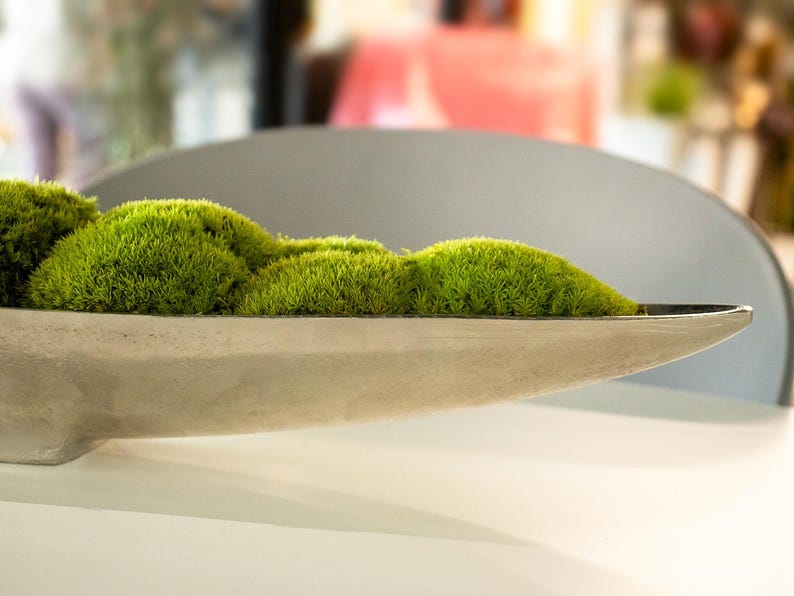 Moss Centerpiece, Moss Bowl, tray, Home decor, long bowl planter with moss, Table top decor, Gold Decorative center piece, Gift