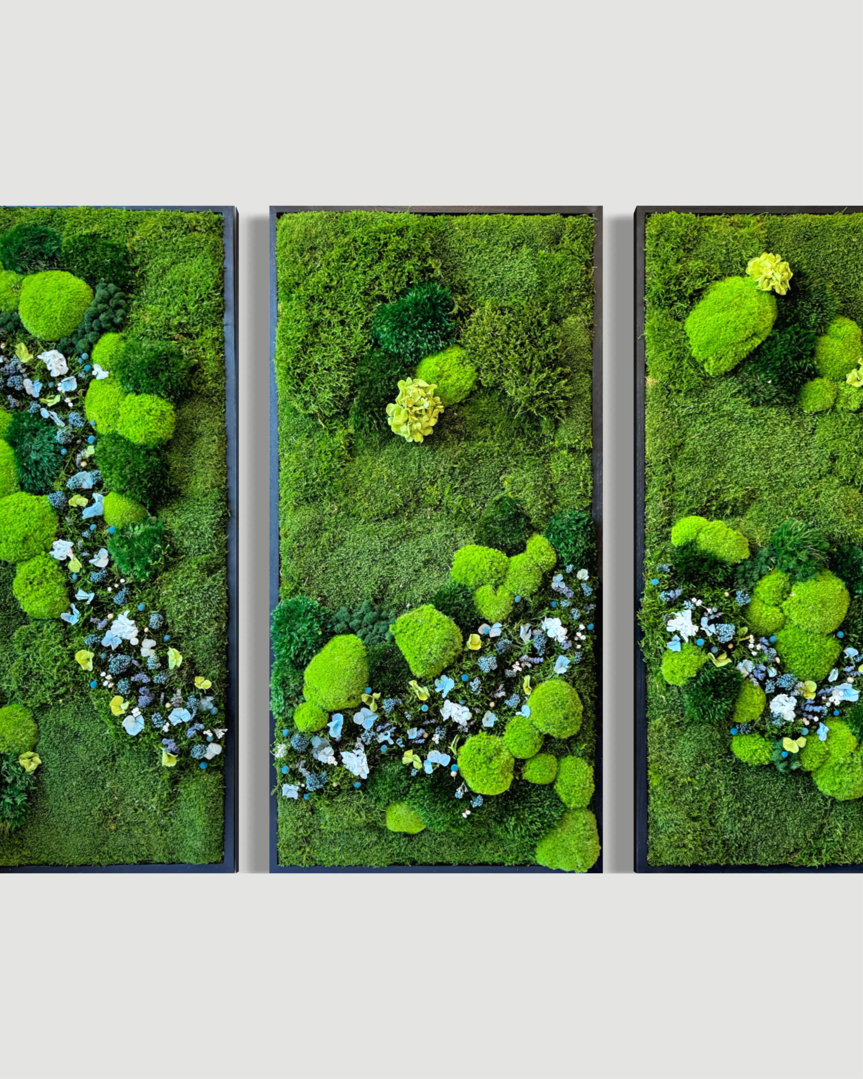 ALBA BLU | Preserved Moss Wall Art