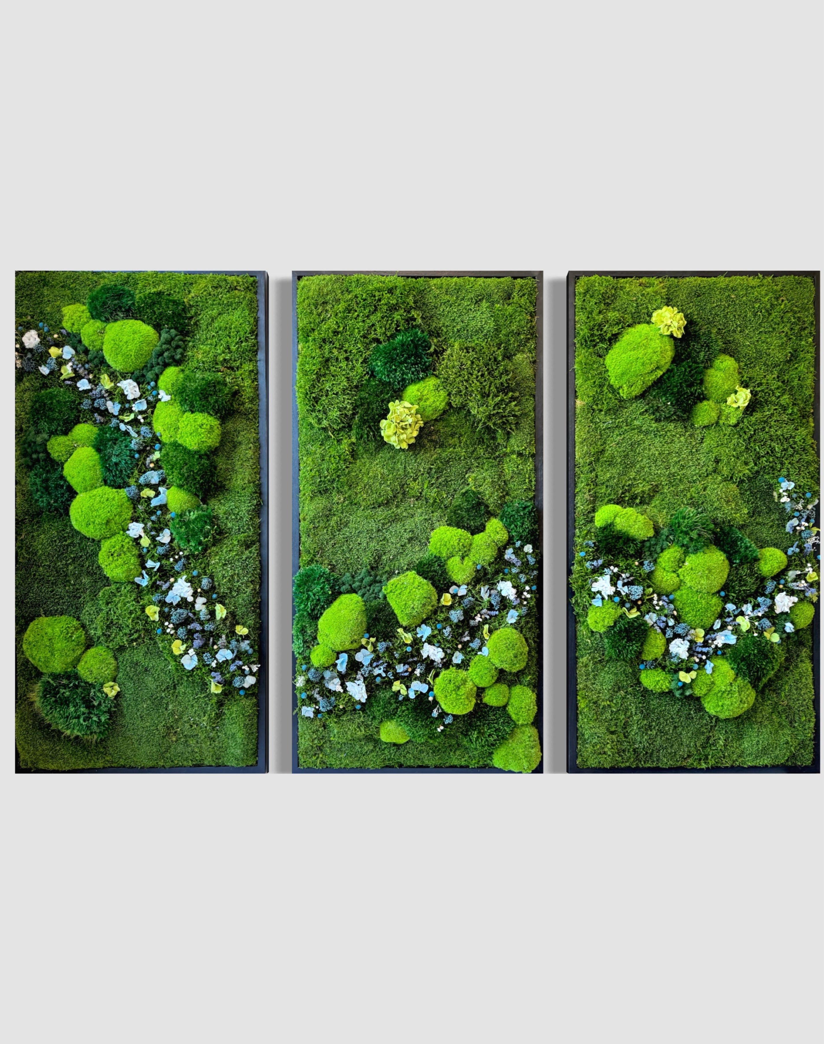 ALBA BLU | Preserved Moss Wall Art