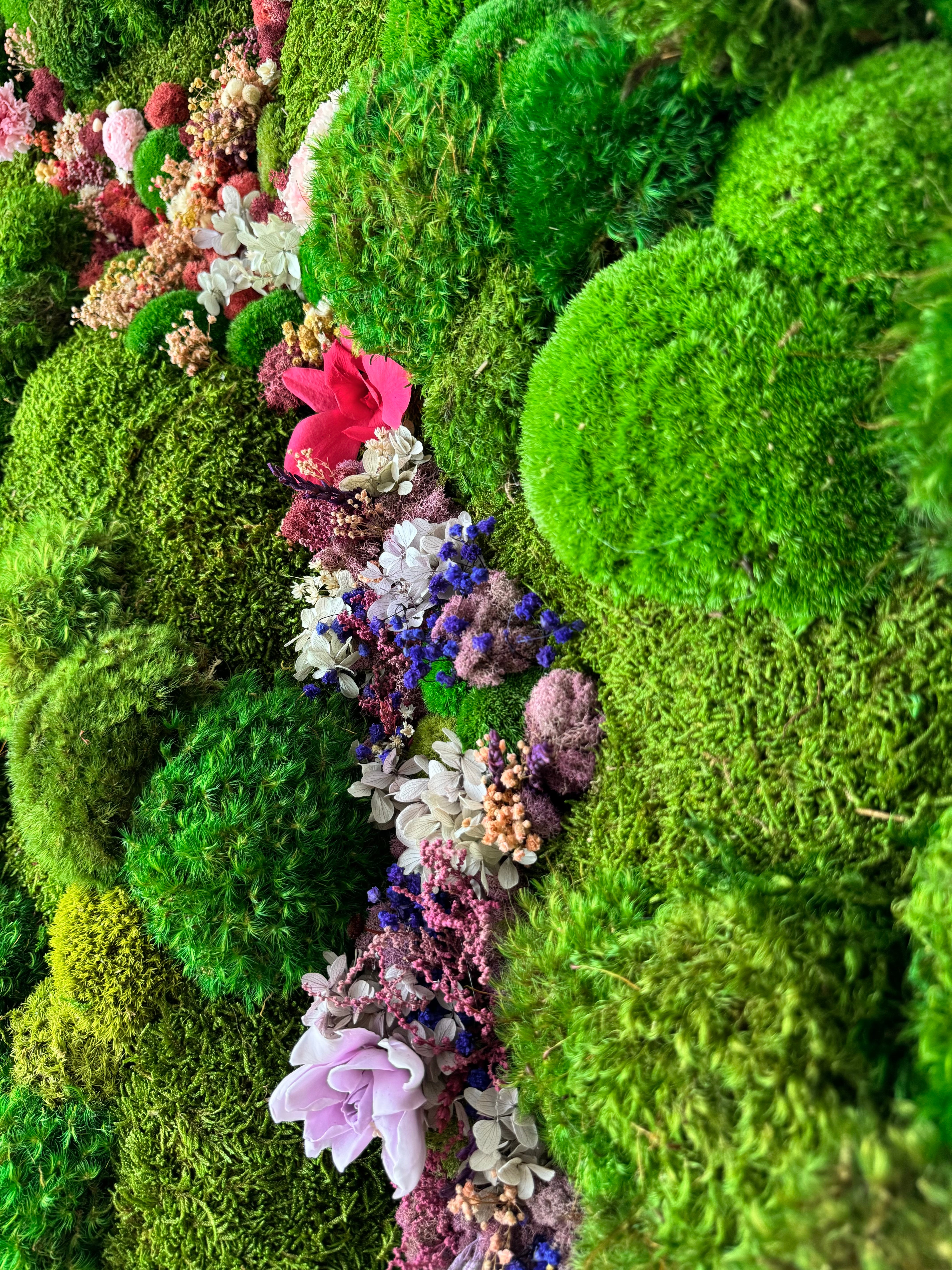 ESTELA | Preserved Moss Wall Art