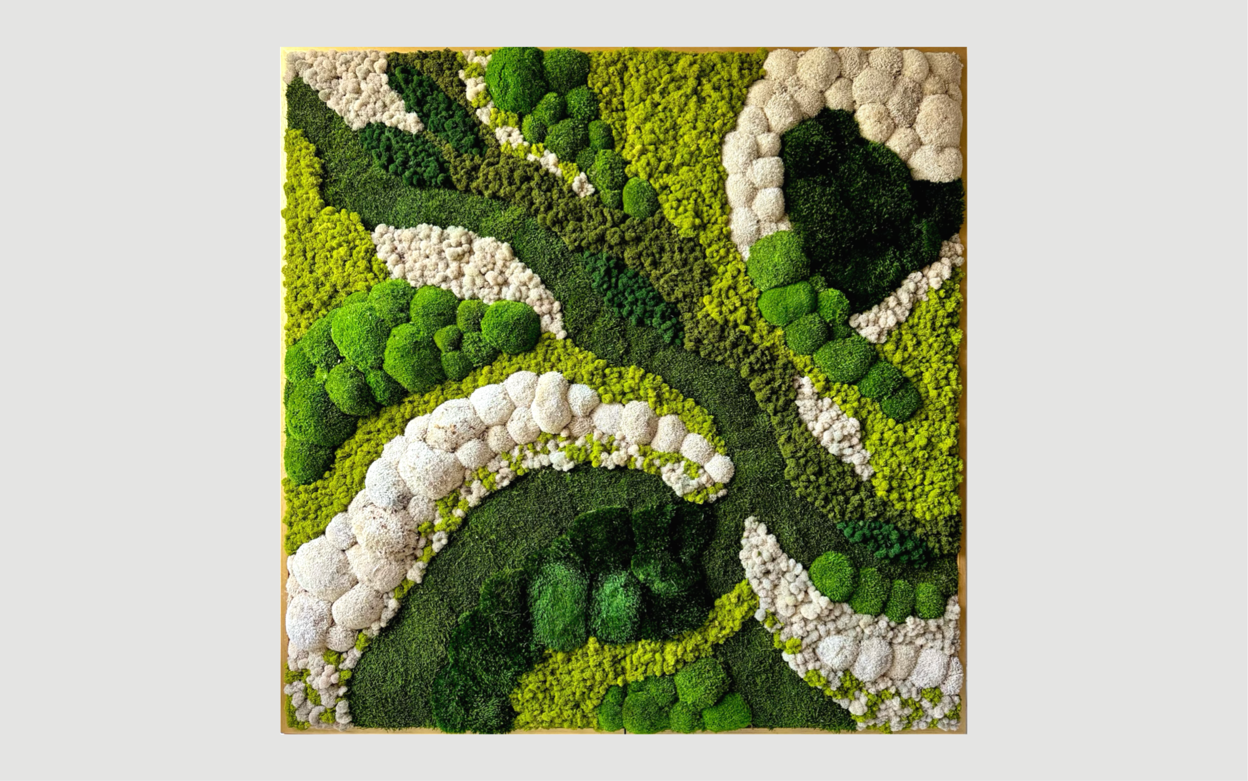 Modern Preserved Moss Wall Art - Caliza