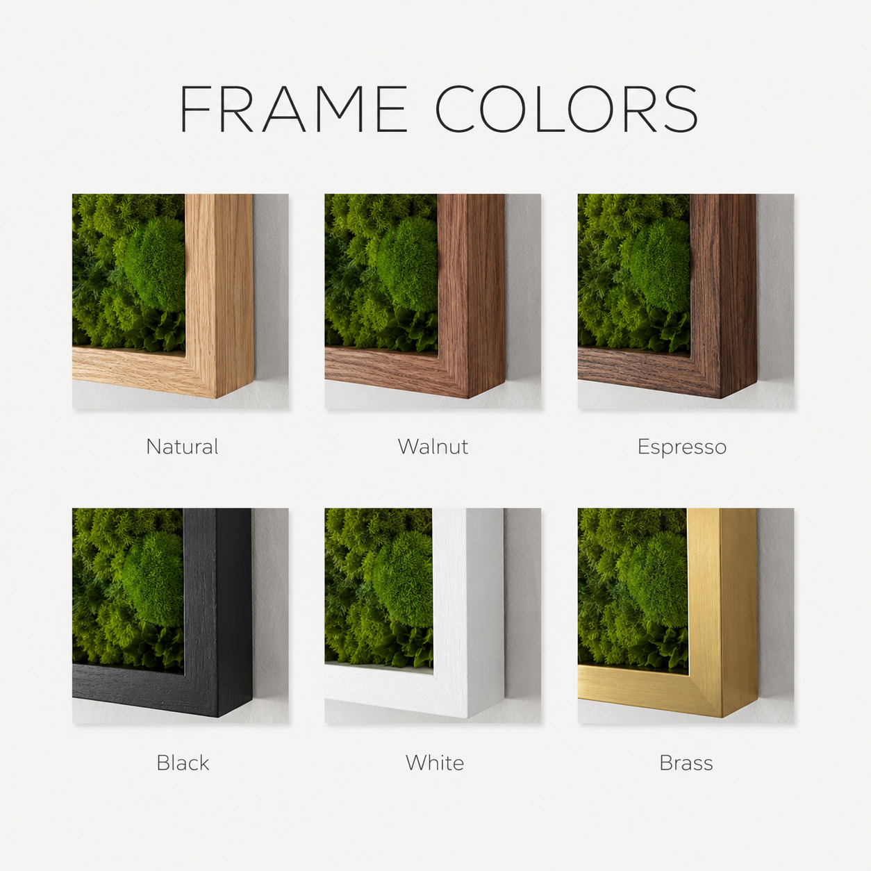 ALABASTRO| Preserved Moss Wall Art