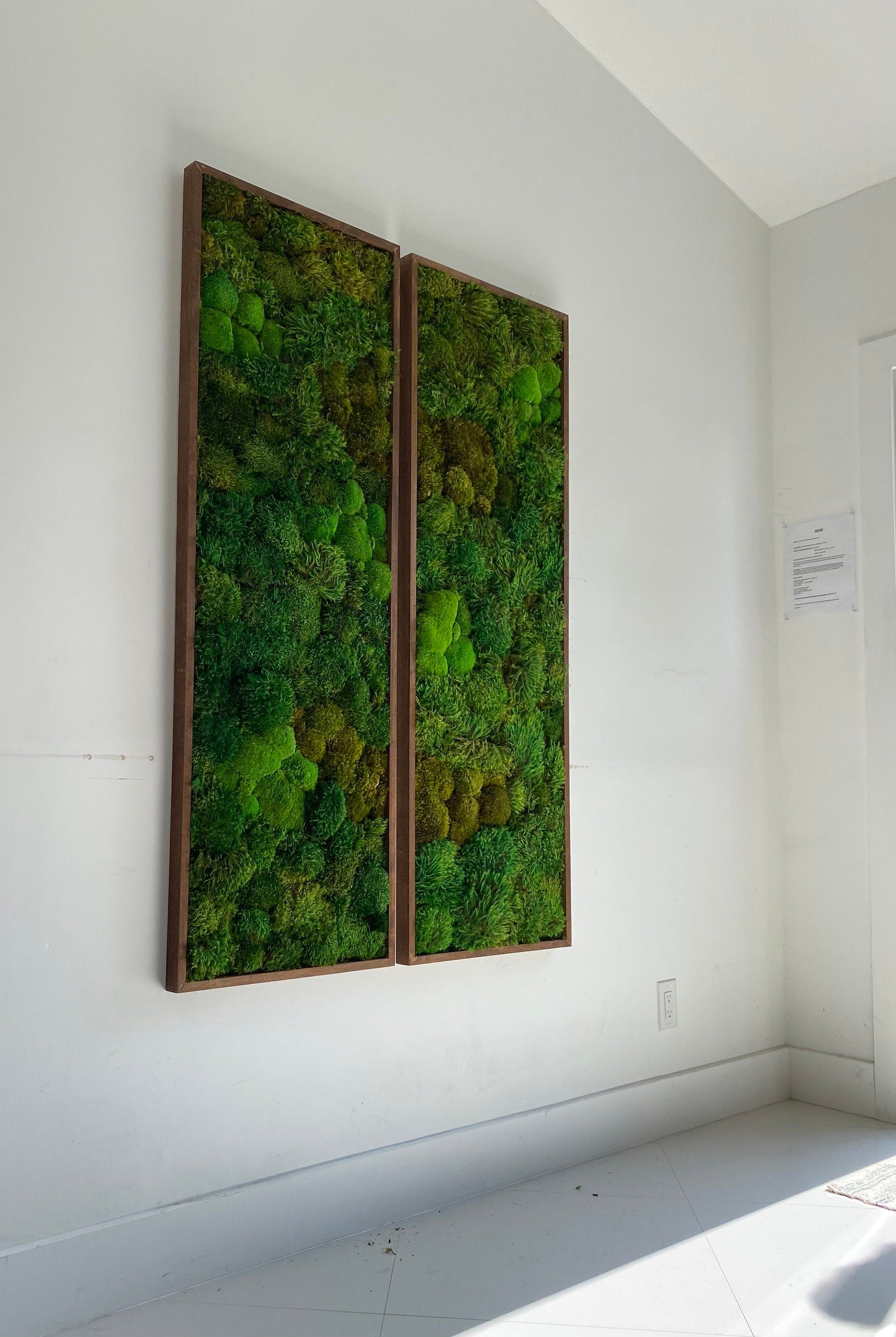 Moss Wall Art. Moss Art. Preserved Moss. Living wall.  Plant wall decor