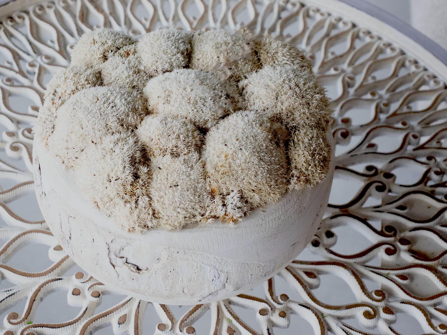 Centerpiece, Moss Bowls, Trays, Home decor, Gift, Decorative center piece, Wood moss decor.